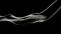 Boudoir bodyscape by chicago Portrait Photographer Lenka Lipcenko